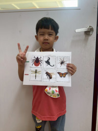 2569 Summer Camp ธีม Little Science Camp สำหรับนักเรียนชั้น อ.2 (รหัสนักเรียน 67)