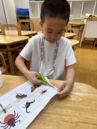 2569 Summer Camp ธีม Little Science Camp สำหรับนักเรียนชั้น อ.2 (รหัสนักเรียน 67)