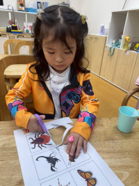 2569 Summer Camp ธีม Little Science Camp สำหรับนักเรียนชั้น อ.2 (รหัสนักเรียน 67)