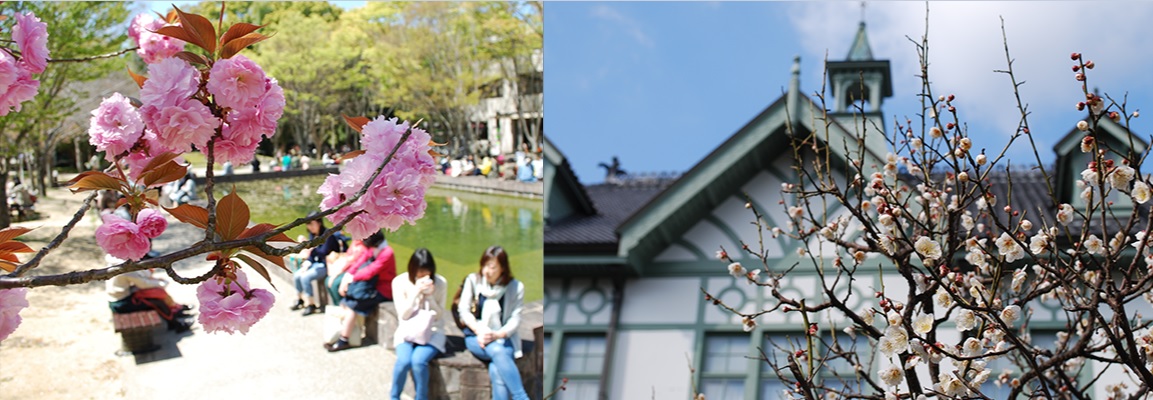 Online Japanese Program SORAMITSU 2021 โดย Nara Women’s University ประเทศญี่ปุ่น
