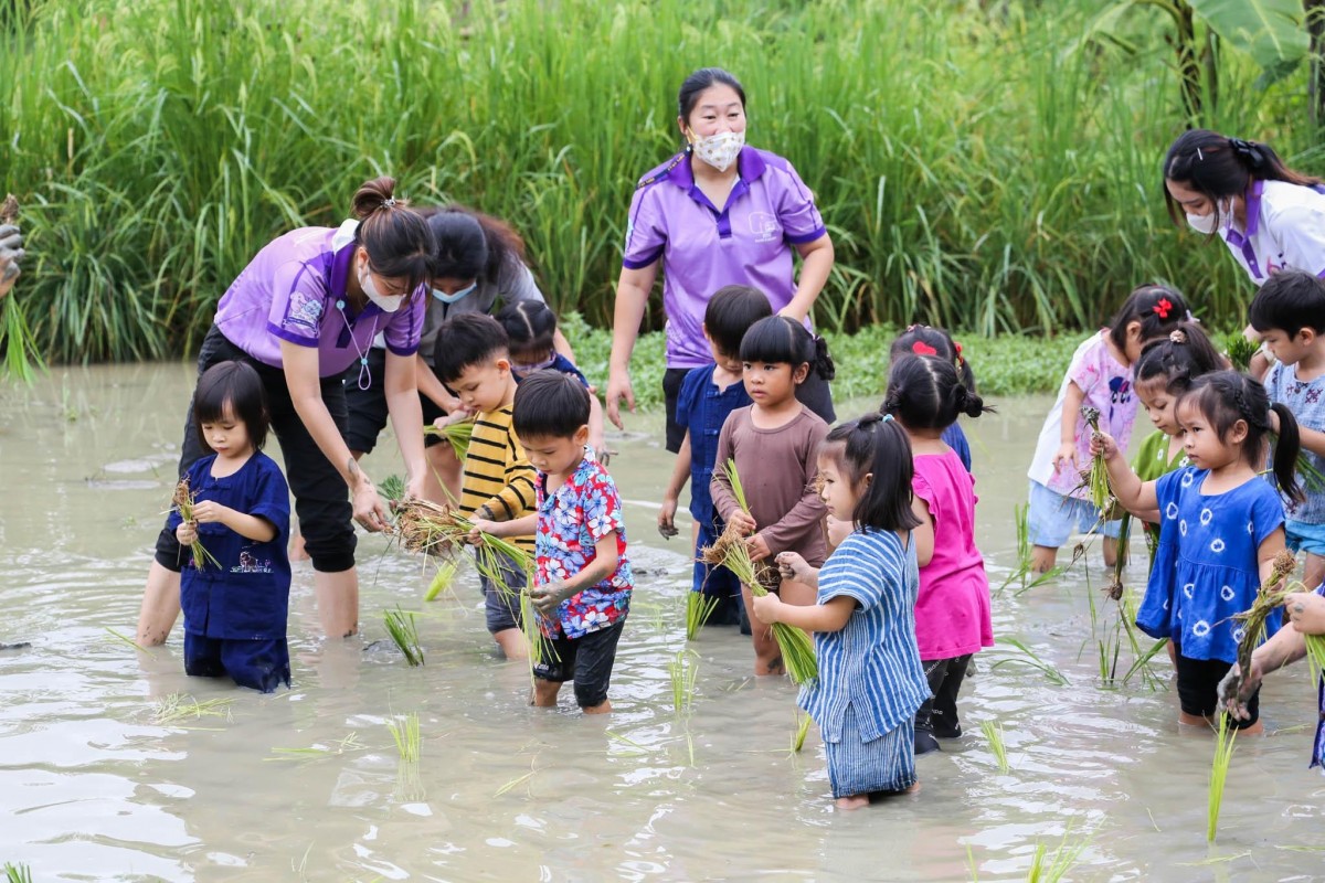 โรงเรียนสาธิต มช. ระดับอนุบาลและประถมศึกษ จัดกิจกรรม “Little Farmer” สำหรับนักเรียนชั้น อ.1