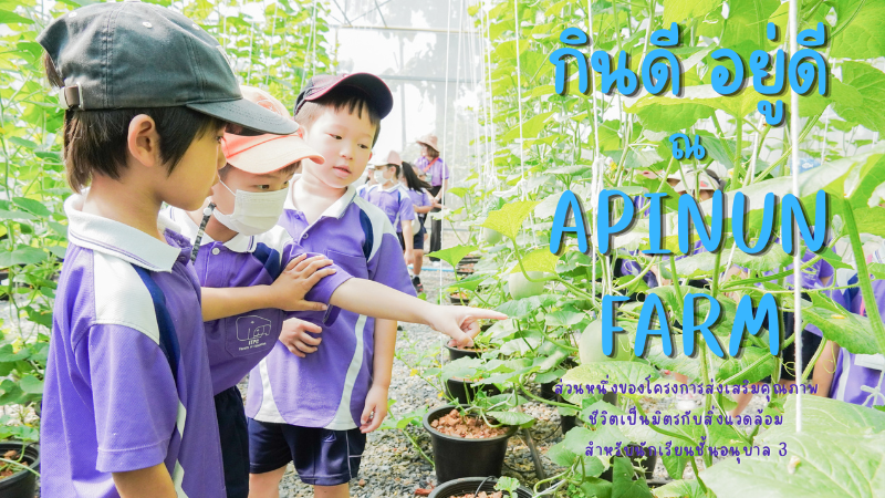 โรงเรียนสาธิต มช. ระดับอนุบาลและประถมศึกษา จัดกิจกรรม “กินดี อยู่ดี ณ Apinun Farm” สำหรับนักเรียนชั้น อ.3