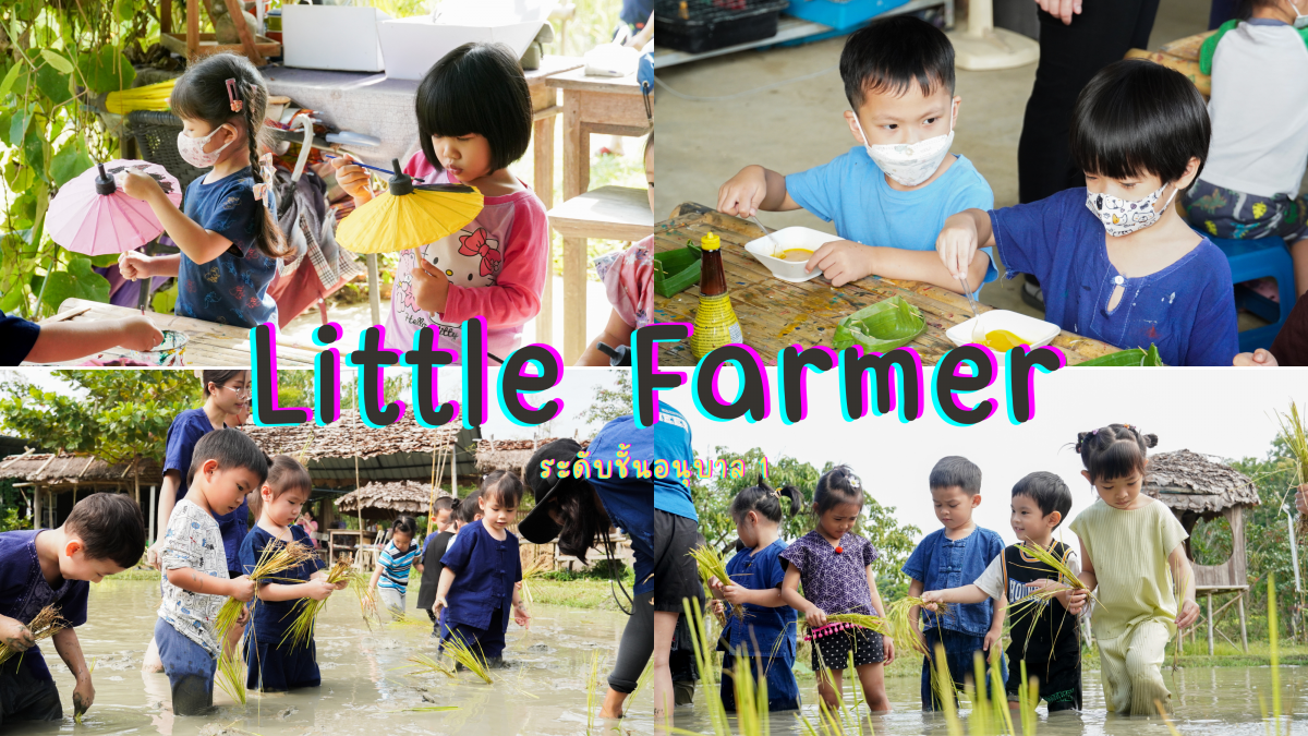 โรงเรียนสาธิต มช. ระดับอนุบาลและประถมศึกษา จัดกิจกรรม “Little Farmer” สำหรับนักเรียนชั้น อ.1