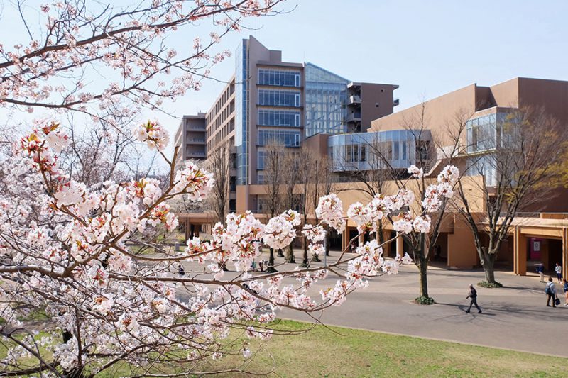 โครงการแลกเปลี่ยนนักศึกษา Tokyo University of Foreign Studies Spring 2025