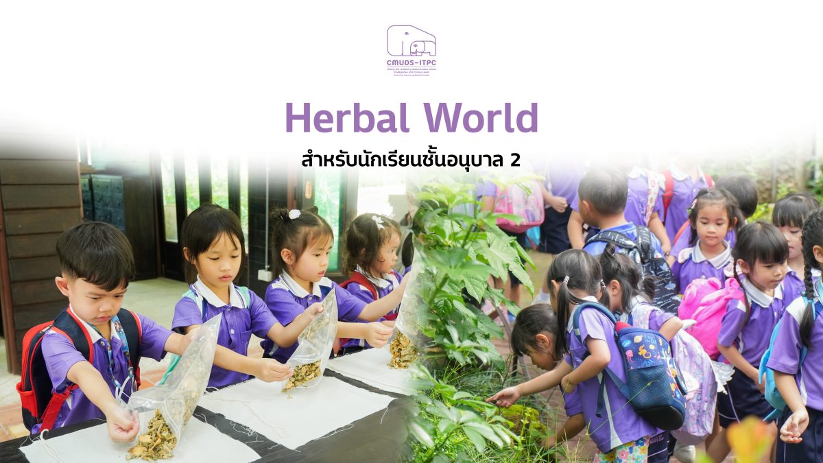 โรงเรียนสาธิต มช. ระดับอนุบาลและประถมศึกษา จัดกิจกรรม 