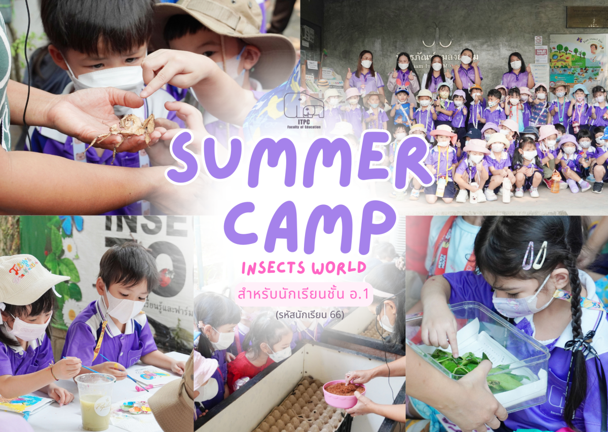 [ประมวลภาพกิจกรรม] Summer Camp ธีม Insects World สำหรับนักเรียนชั้น อ.1 (รหัสนักเรียน 68)