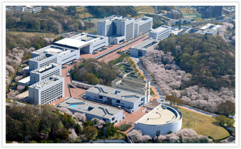 โครงการแลกเปลี่ยนนักศึกษา Chuo University Student Exchange Program